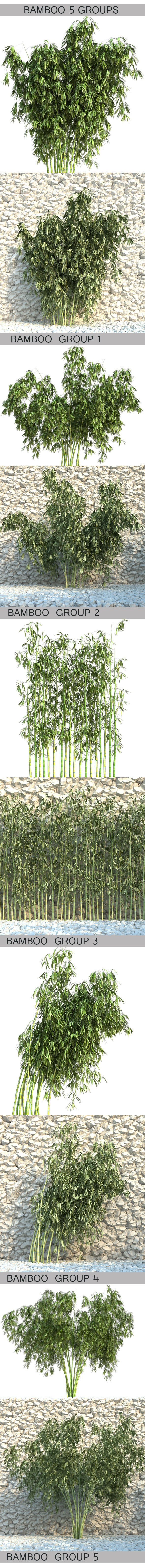 3DOcean 5 Groups of Bamboos 9426069 3DOcean 5 Groups of Bamboos 9426069