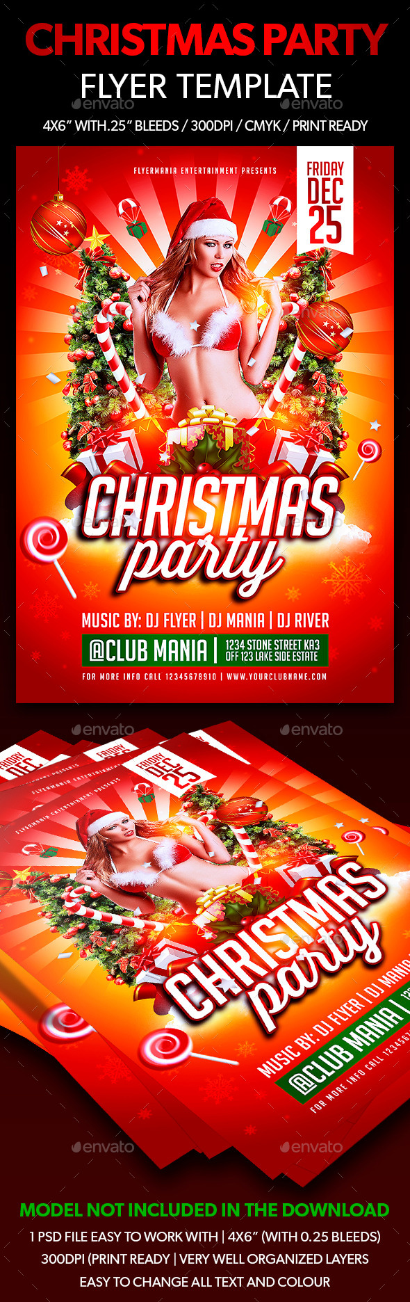 Christmas Party Flyer Template