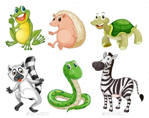 GraphicRiver Different Species of Animals 9438701 GraphicRiver Different Species of Animals 9438701