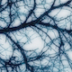 Winter-Light