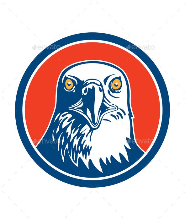GraphicRiver American Bald Eagle Head 9459377 GraphicRiver American Bald Eagle Head 9459377