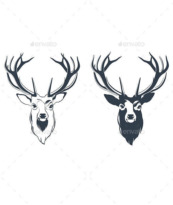 GraphicRiver Male Red Deer Head 9460706 GraphicRiver Male Red Deer Head 9460706