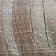 Wood Texture Pack Wood Texture Pack - GraphicRiver Item for Sale