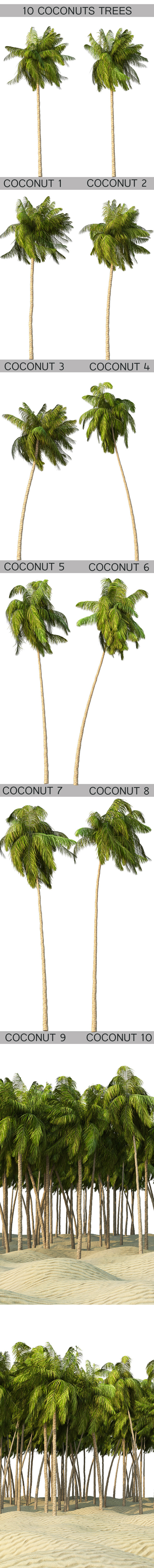 3DOcean 10 Coconuts trees 9464099 3DOcean 10 Coconuts trees 9464099