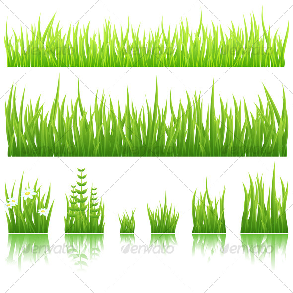Green grass - Organic Objects Objects