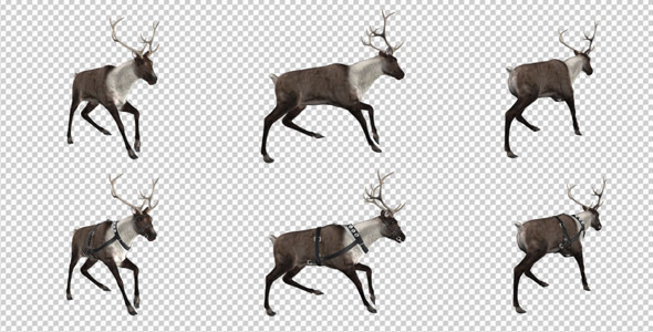 Reindeer Run Pack of 6 Reindeer Run Pack of 6
