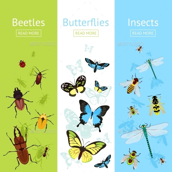 Insects Banner Set (Animals)