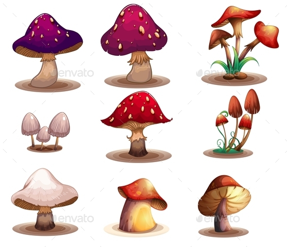 GraphicRiver Different Kinds of Mushrooms 9482235 GraphicRiver Different Kinds of Mushrooms 9482235