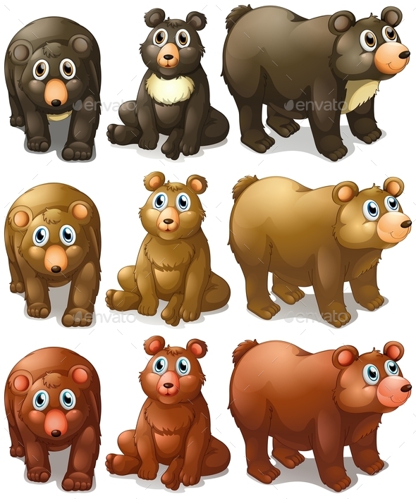 GraphicRiver Collection of Bears 9484403 GraphicRiver Collection of Bears 9484403