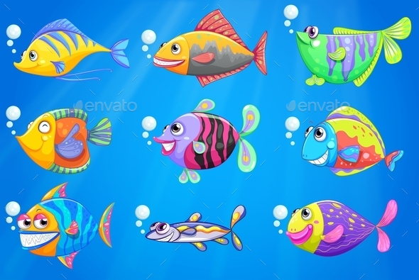 Colorful Fish (Animals)