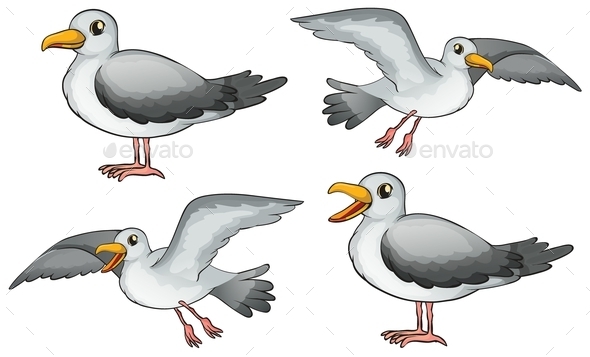 GraphicRiver Four Birds 9493669 GraphicRiver Four Birds 9493669