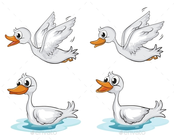 GraphicRiver Four Ducks 9493801 GraphicRiver Four Ducks 9493801