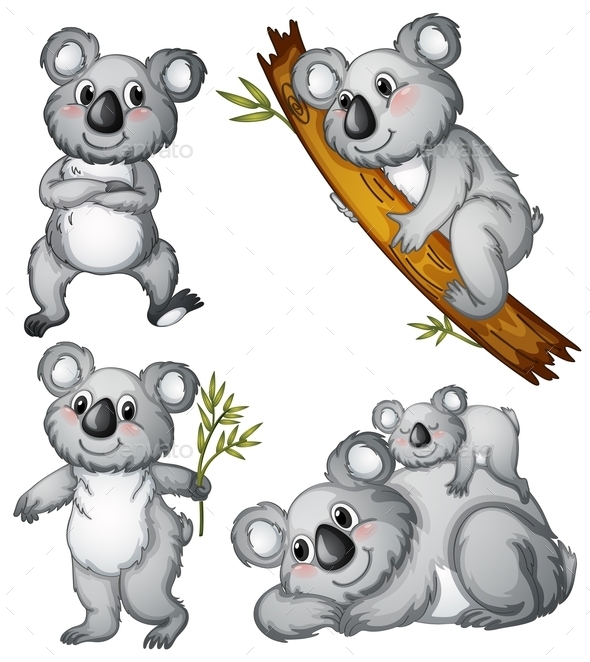 GraphicRiver A Group of Koalas 9493827 GraphicRiver A Group of Koalas 9493827