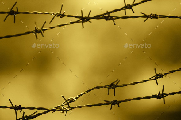 Barbed wire fence with out of focus background. Horizontal (Misc) Photo Download