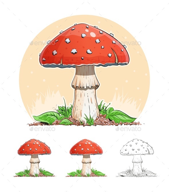 GraphicRiver Amanita Mushroom 9497363 GraphicRiver Amanita Mushroom 9497363