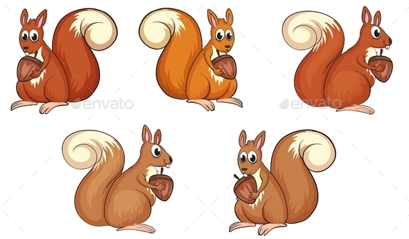 GraphicRiver Squirrel Eating 9502986 GraphicRiver Squirrel Eating 9502986
