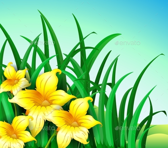 GraphicRiver A Garden with Yellow Flowers 9503779 GraphicRiver A Garden with Yellow Flowers 9503779