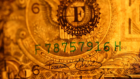 US Dollar Currency 244 US Dollar Currency 244
