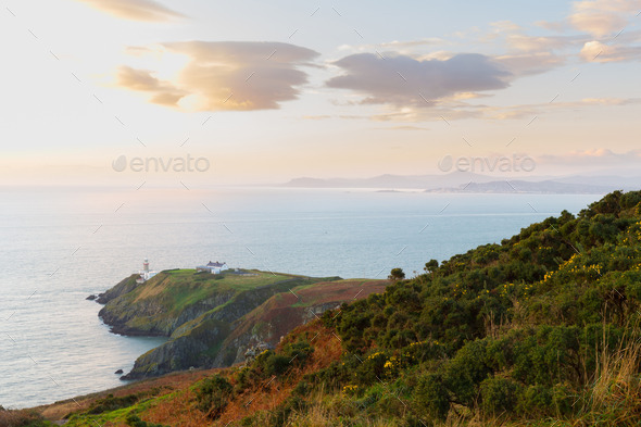 Howth cliffs vegetation and Baily Lighthouse (Misc) Photo Download