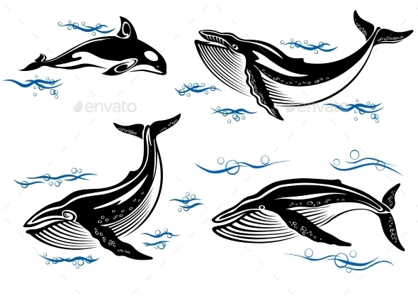 Cartoon Sea Whales (Animals)