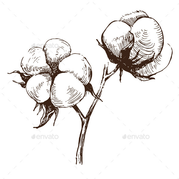 GraphicRiver Hand Drawn Cotton Brunch 8819825 GraphicRiver Hand Drawn Cotton Brunch 8819825