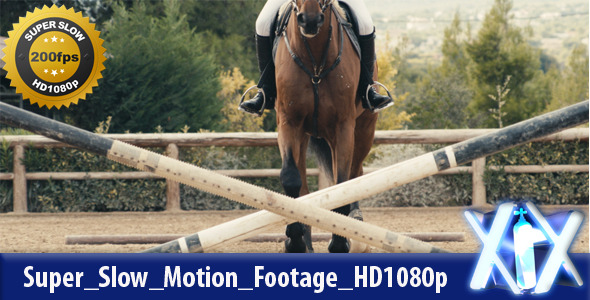 Horse Jumping Oxer Horse Jumping Oxer