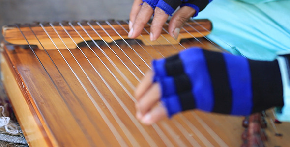 Harp Performer Harp Performer