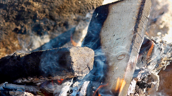 Campfire View Campfire View