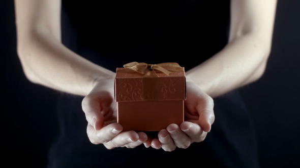Gift Box In Hand 07 Gift Box In Hand 07
