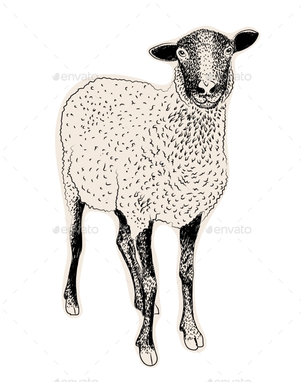 Hand Drawn Sheep (Christmas)