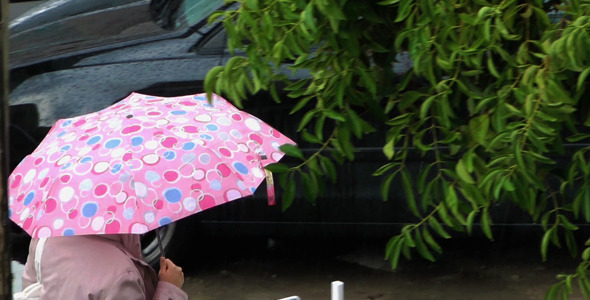 Walking in the Rain Walking in the Rain