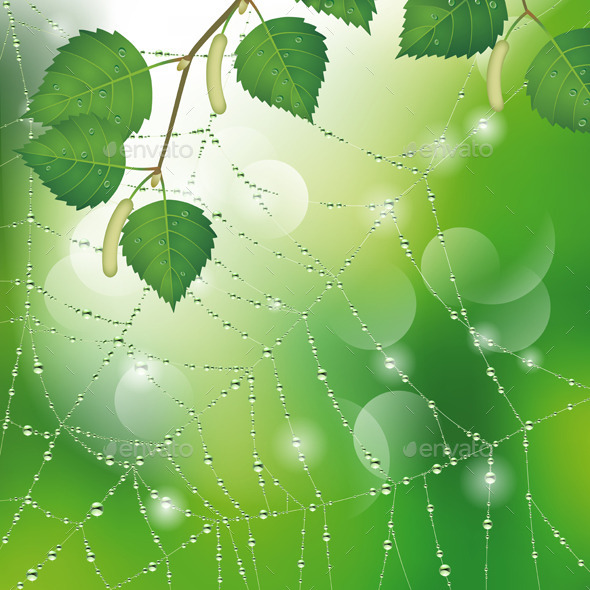 GraphicRiver Spider Web with Leaves 9558342 GraphicRiver Spider Web with Leaves 9558342