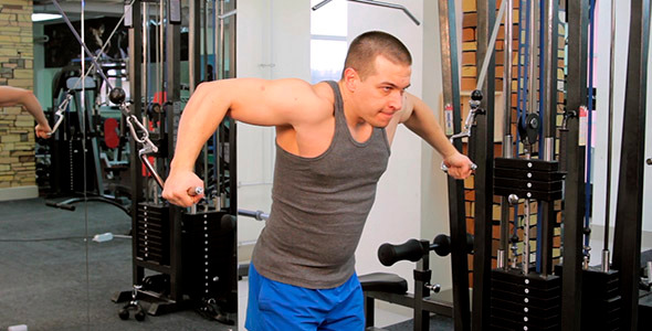 The Man In The Gym 2 The Man In The Gym 2