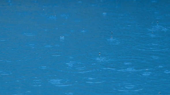 Rain Dropping Water Background Rain Dropping Water Background