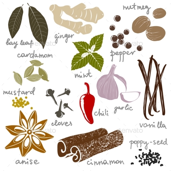 GraphicRiver Stylized Spices 9571697 GraphicRiver Stylized Spices 9571697