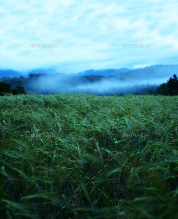 After the sunset (Misc) Photo Download