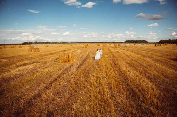 Beautiful bride and groom portrait in nature (Misc) Photo Download