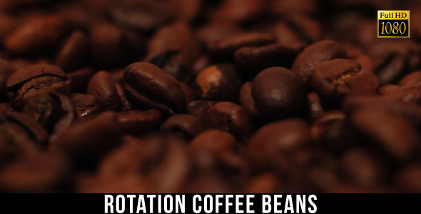 The Coffee Beans 3 The Coffee Beans 3