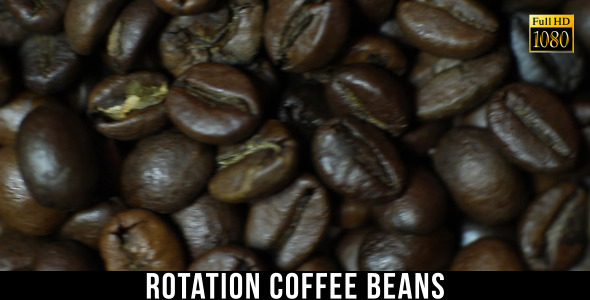 The Coffee Beans 4 The Coffee Beans 4