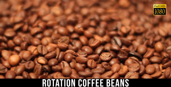 The Coffee Beans 5 The Coffee Beans 5