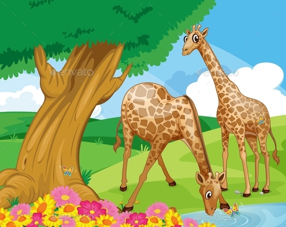 GraphicRiver Giraffes at the Riverbank 9605538 GraphicRiver Giraffes at the Riverbank 9605538