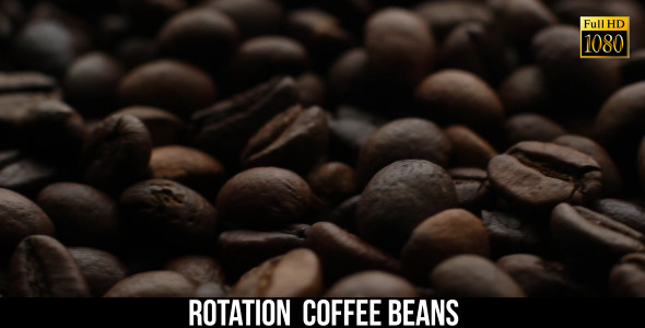 The Coffee Beans 8 The Coffee Beans 8
