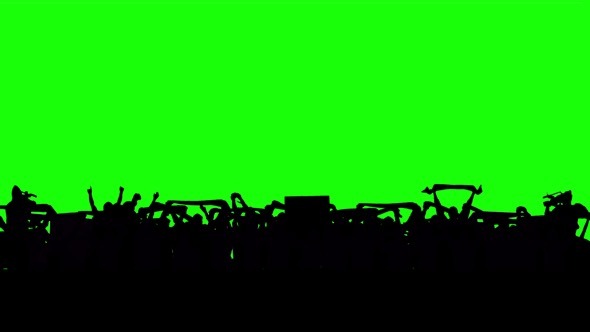 Football Fans on Green Screen Football Fans on Green Screen