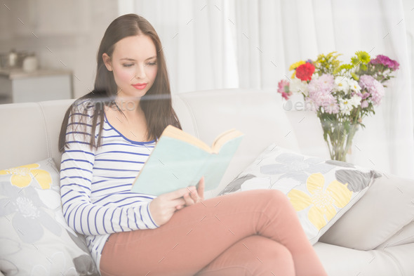 Pretty brunette reading book on couch at home in the living room (Misc) Photo Download