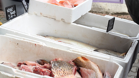Fish on Market Stalls Fish on Market Stalls