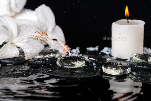 cryogenic spa concept of delicate white hibiscus, zen stones wit