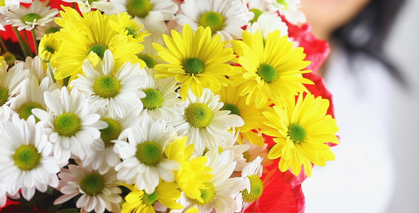 Giving Daisy Flower Giving Daisy Flower