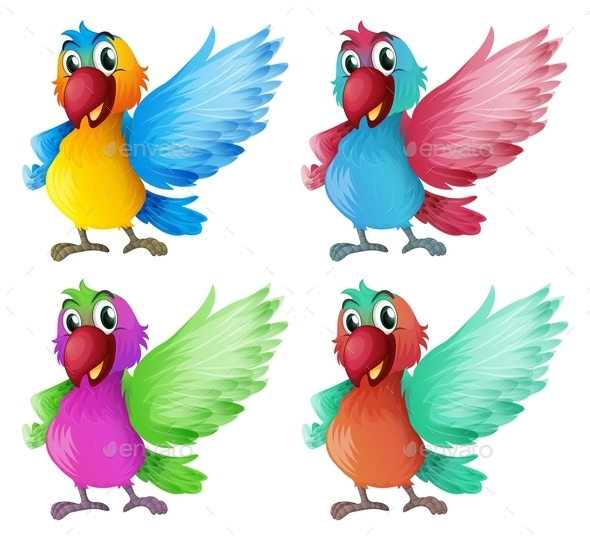 GraphicRiver Four Parrots 9640273 GraphicRiver Four Parrots 9640273