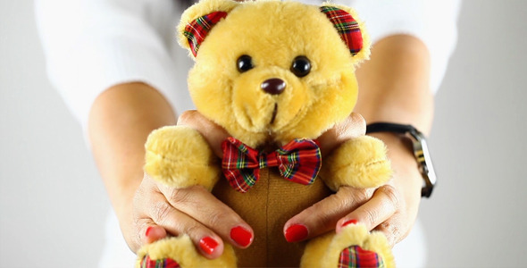 Showing Bear Toy Showing Bear Toy