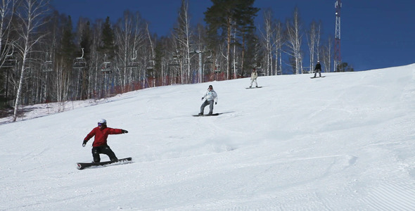 Speedy Freeride Speedy Freeride